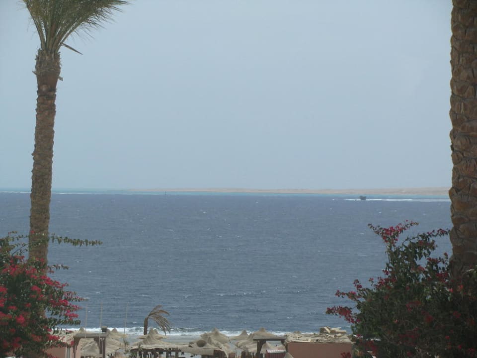 Plaza Palmyra Amar El Zaman Aqua Park