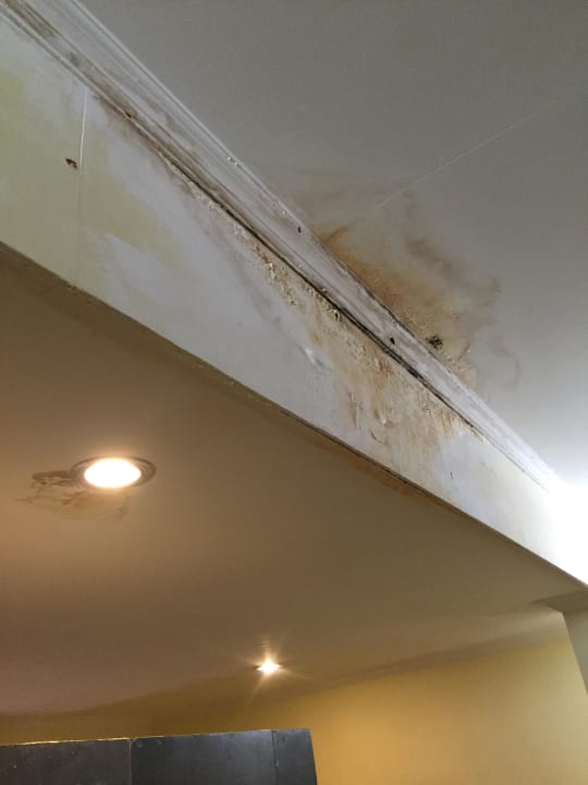 Schimmel soweit das Auge reicht Hotel Vila Ombak