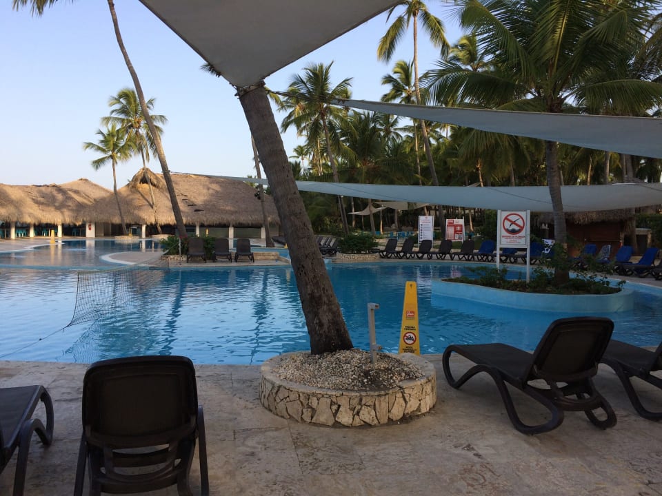 Pool Hotel Viva Dominicus Beach by Wyndham - All Inclusive Resort