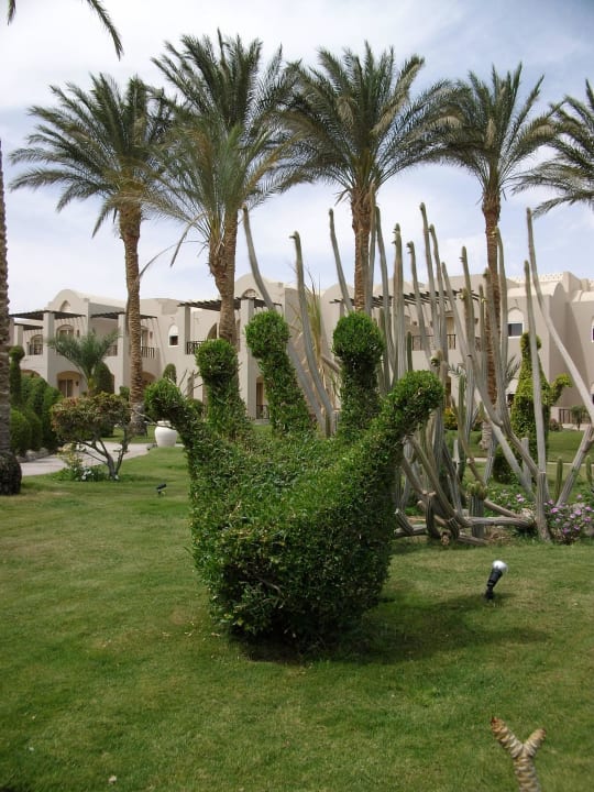 Einfach toll ein hingucker Jaz Makadi Oasis Resort