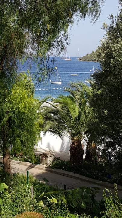 Ausblick Hapimag Sea Garden Resort