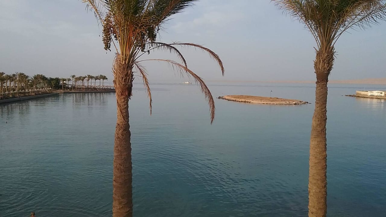 Aussicht von der B Lagune aus Arabia Azur Resort