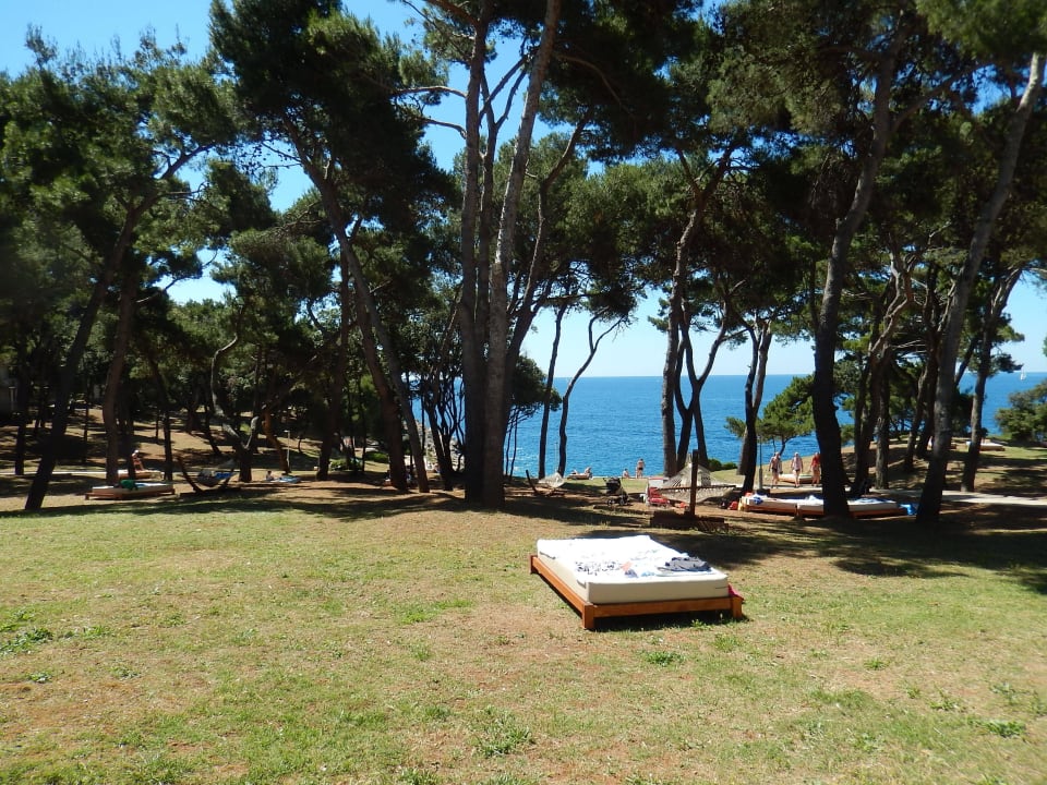 Liegebetten und Hängematten für die Gäste Park Plaza Arena Pula