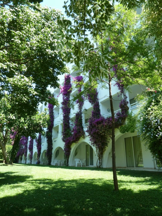 Blumen am Haupthaus Labranda Alantur Resort