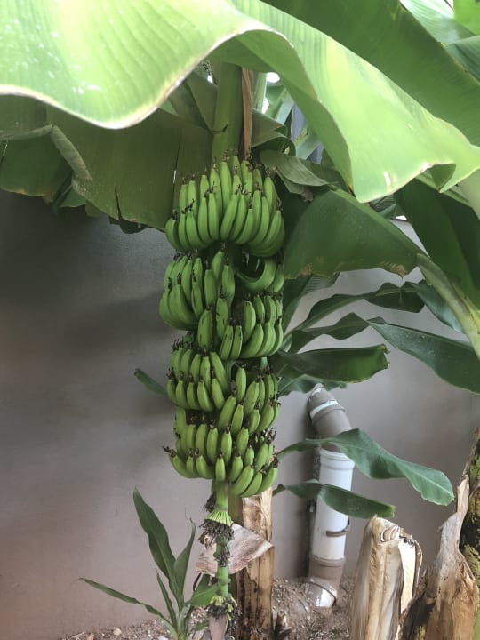 Sonstiges Haydarpasha Palace