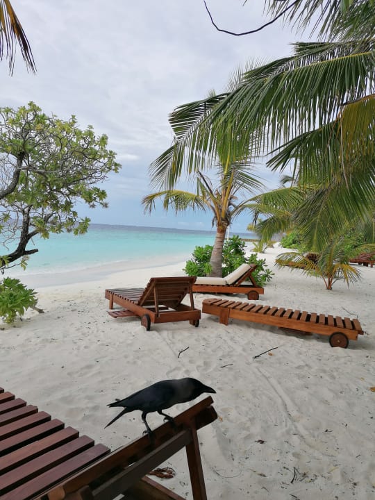 Strand Adaaran Select Meedhupparu Island Resort - Premium All Inclusive