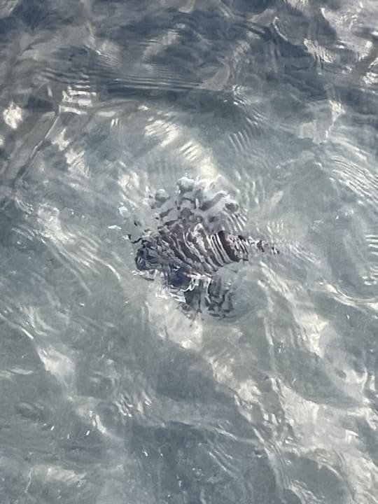 Strand Cleopatra Luxury Resort Makadi Bay