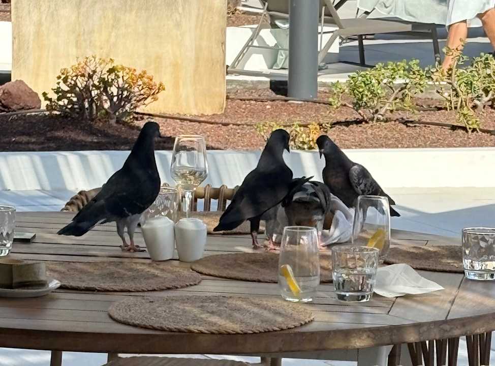 Gastro Paradisus by Meliá Gran Canaria