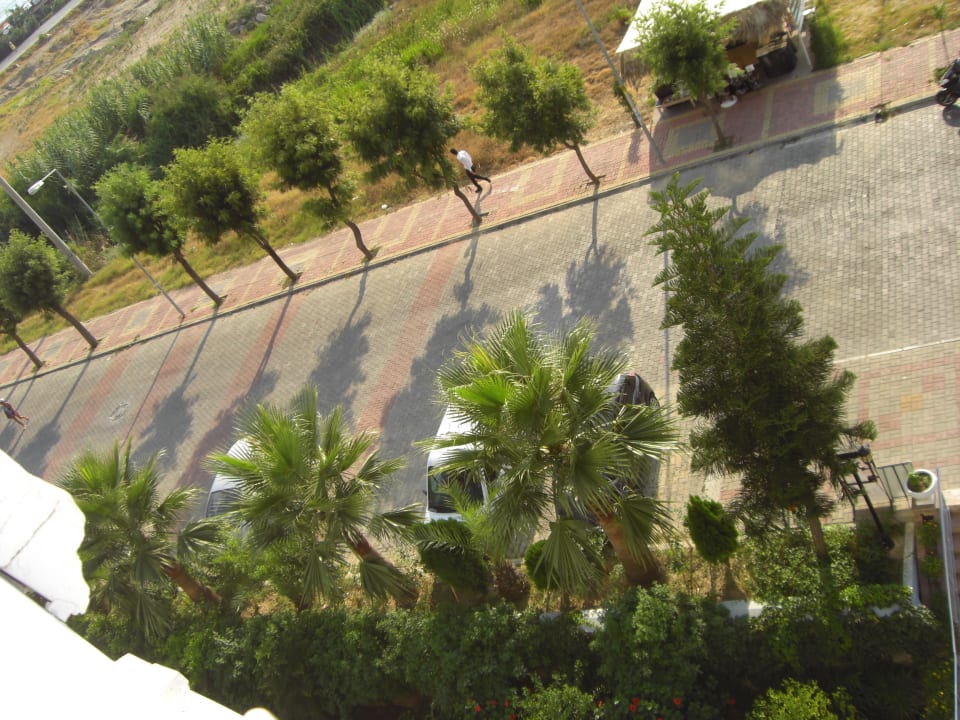 Ausblick vom Zimmer 501 Weg zum Strand Holiday Line Beach Hotel