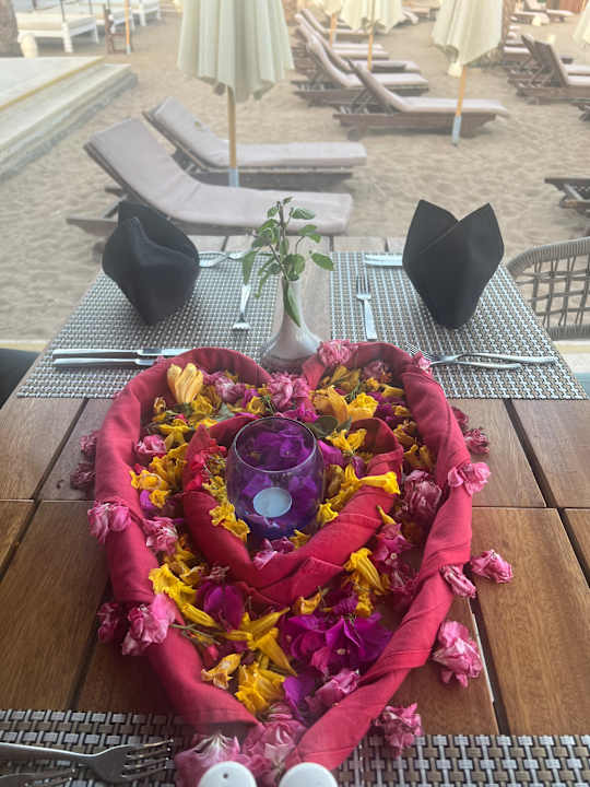 Gastro Ghazala Gardens