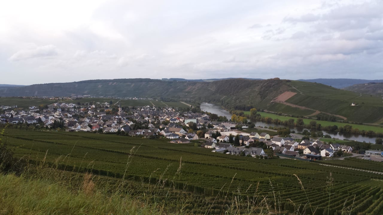 Blick auf leiwen Landal Sonnenberg