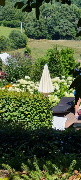 Gartenanlage Hotel Sterr