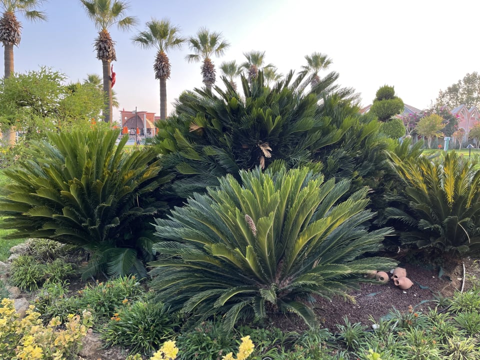 Gartenanlage Megasaray Club Belek