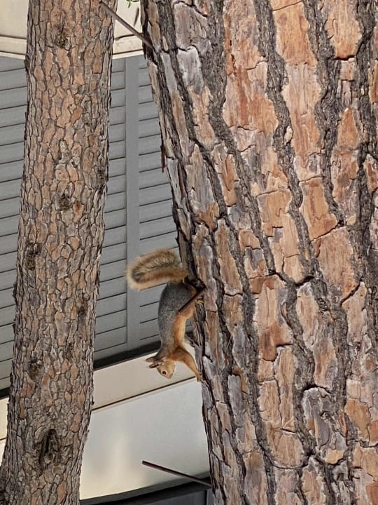 Sonstiges Voyage Belek Golf & Spa