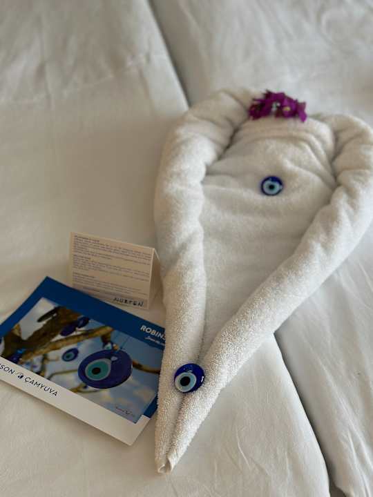 Zimmer ROBINSON ÇAMYUVA