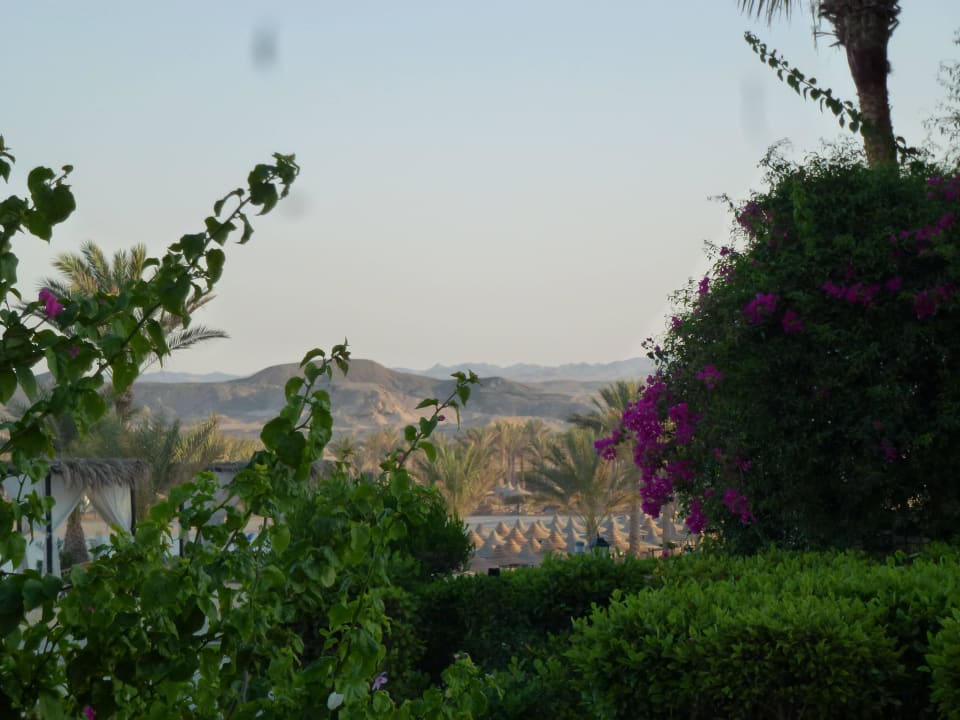 Aussicht Sitzplatz Steigenberger Coraya Beach - Adults only