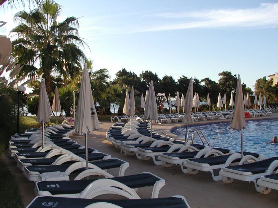 Pool Hotel Tropic Garden