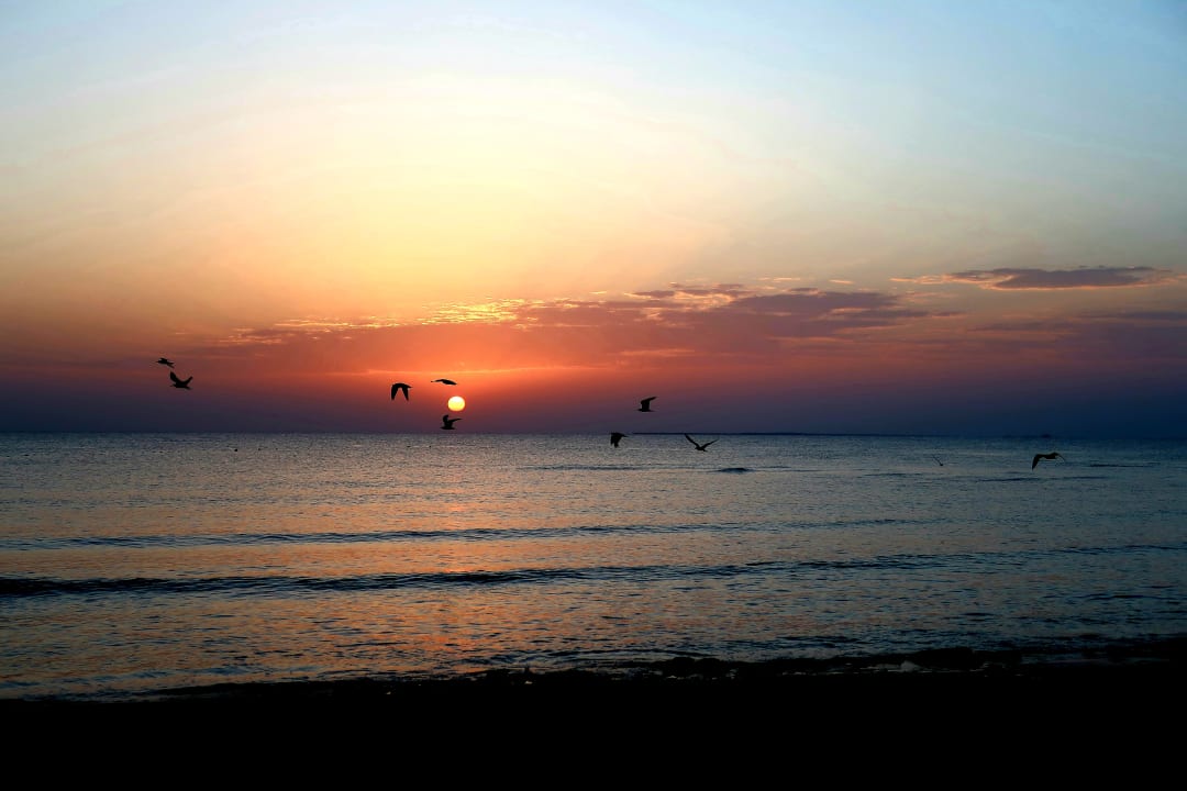 Strand Shams Alam Beach Resort