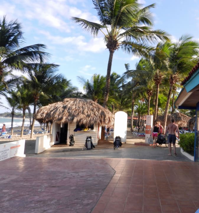 Rund um den Pool Viva Tangerine by Wyndham - All Inclusive Resort