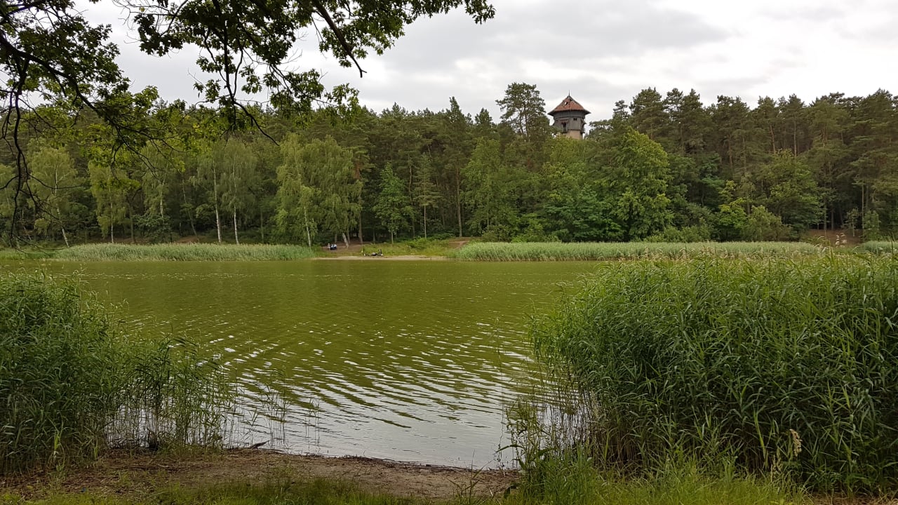 Ausblick Hotel & Spa Sommerfeld