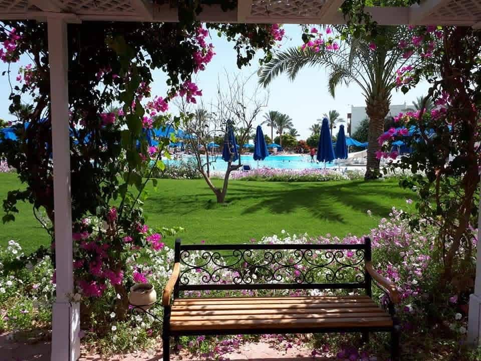 Gartenanlage Desert Rose