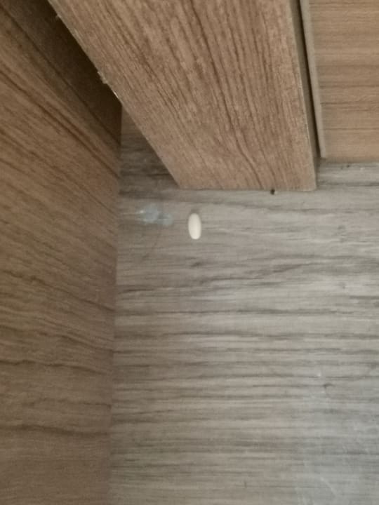 Zimmer Oz Hotels Sui Resort