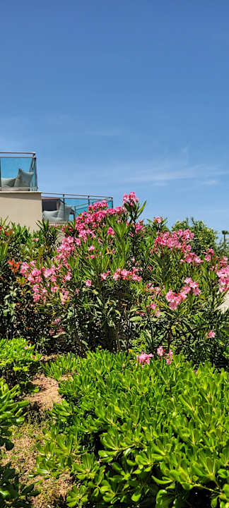 Gartenanlage KRESTEN ROYAL Euphoria Resort