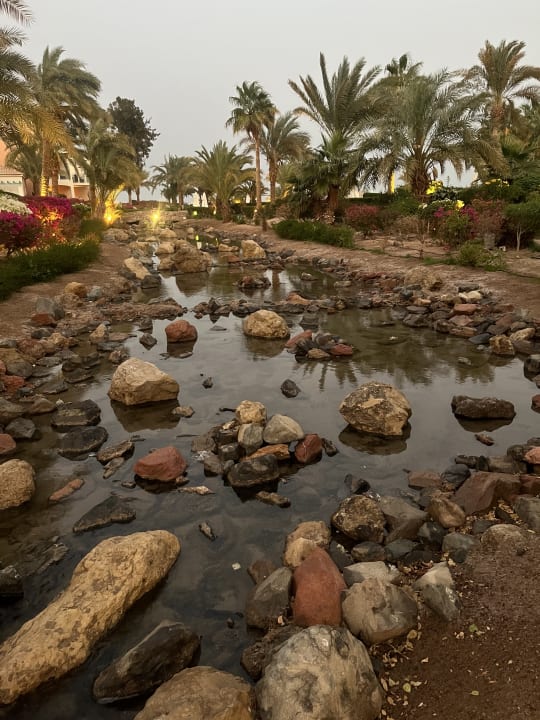 Gartenanlage Mövenpick Resort & Spa El Gouna