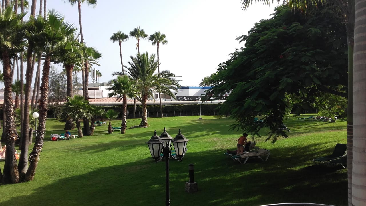Garten Hotel Riu Palace Oasis
