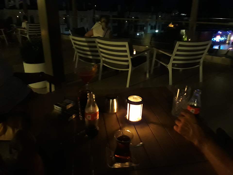 Gastro Acanthus Cennet Barut Collection