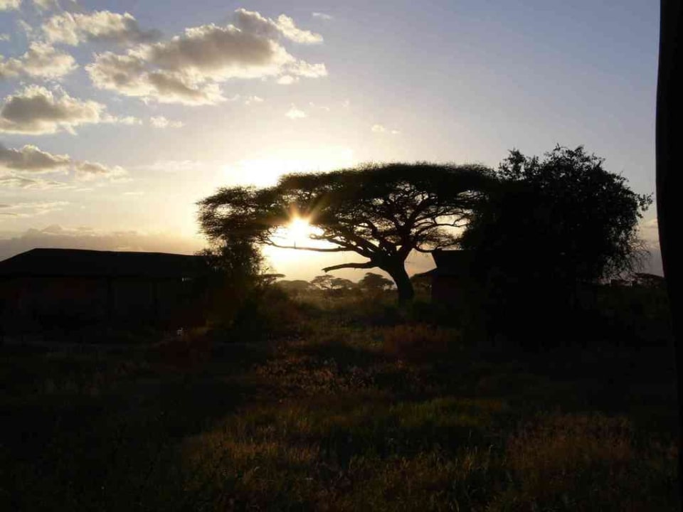 Impressionen am Abend. Kilima Safari Camp