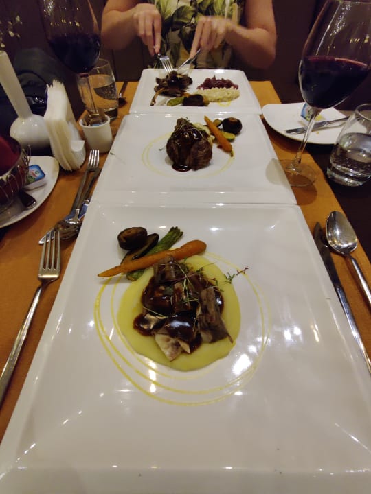 Gastro Arum Barut Collection