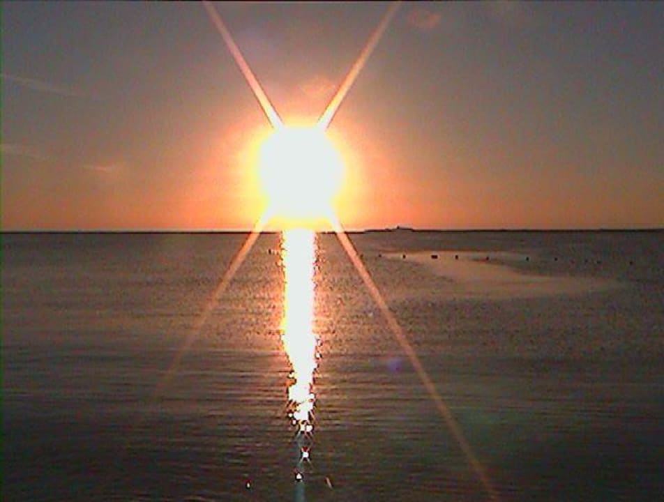 Sonnenaufgang Eagles Paradise Abu Soma