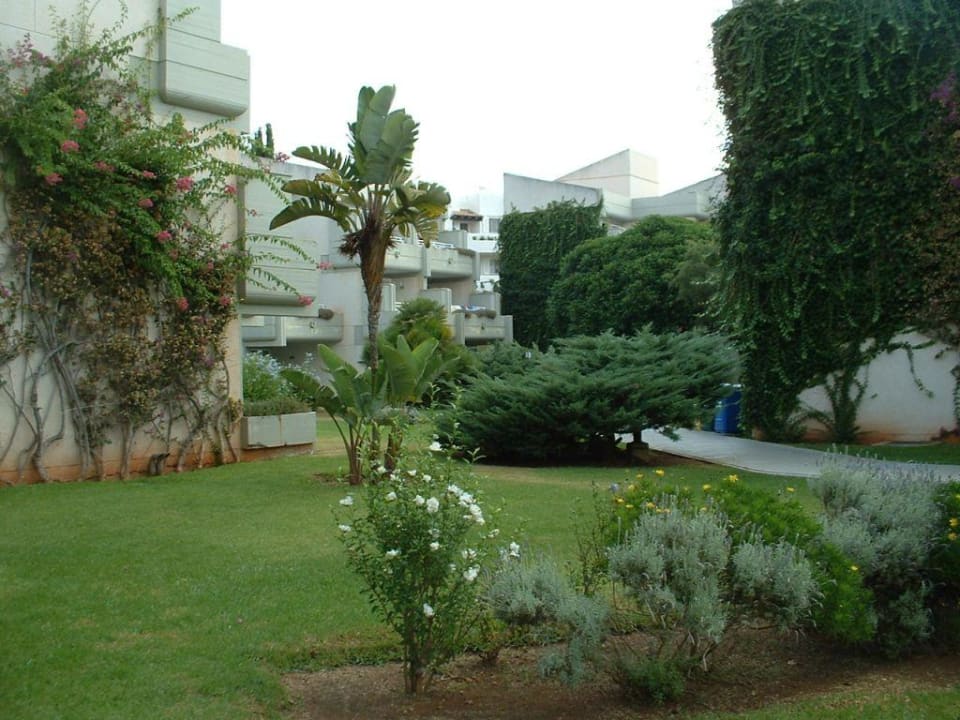 Appartmentanlage Hipotels Mediterraneo Club