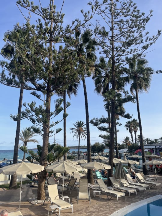 Gartenanlage CM Playa del Moro