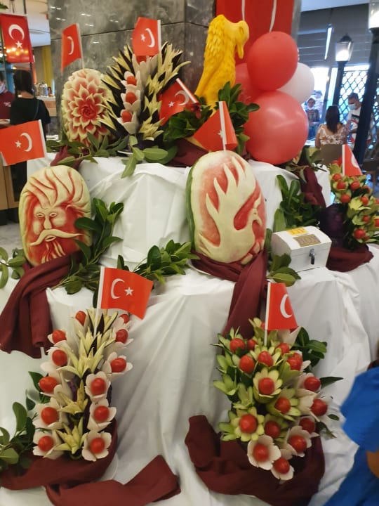 Gastro Seashell Vega