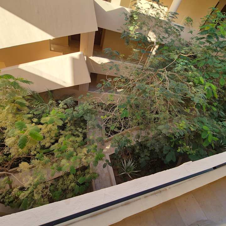 Zimmer Steigenberger Makadi Hotel - Adults only