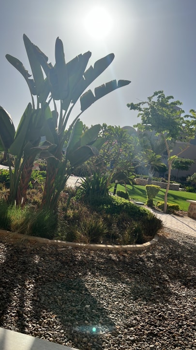 Gartenanlage Lazuli Hotel Marsa Alam