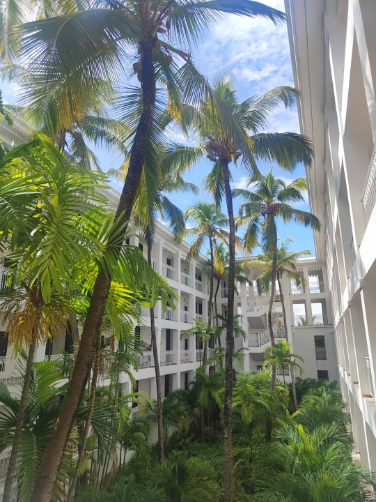 Ausblick Hotel Riu Palace Punta Cana