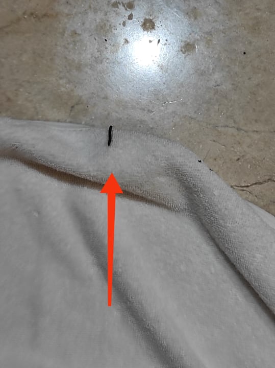 Zimmer Hotel Grand Palladium Palace Resort, Spa & Casino