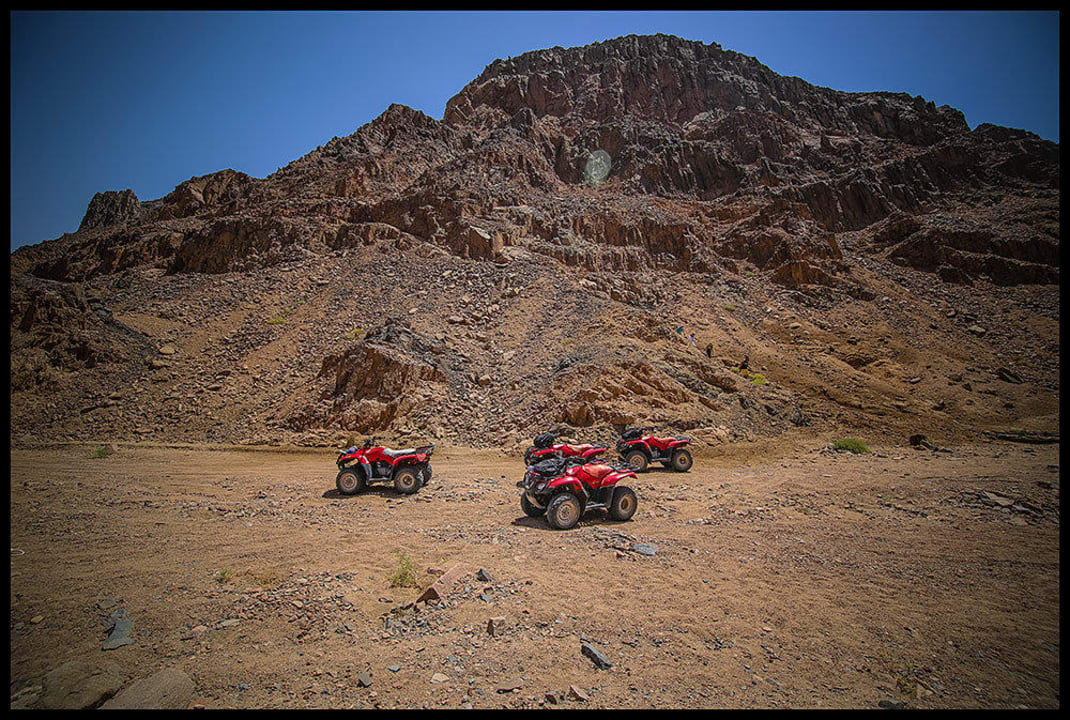 Quady na pustyni Blue Reef Red Sea Resort