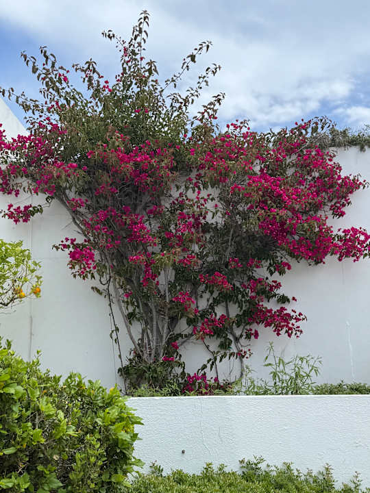 Gartenanlage ROBINSON DAIDALOS