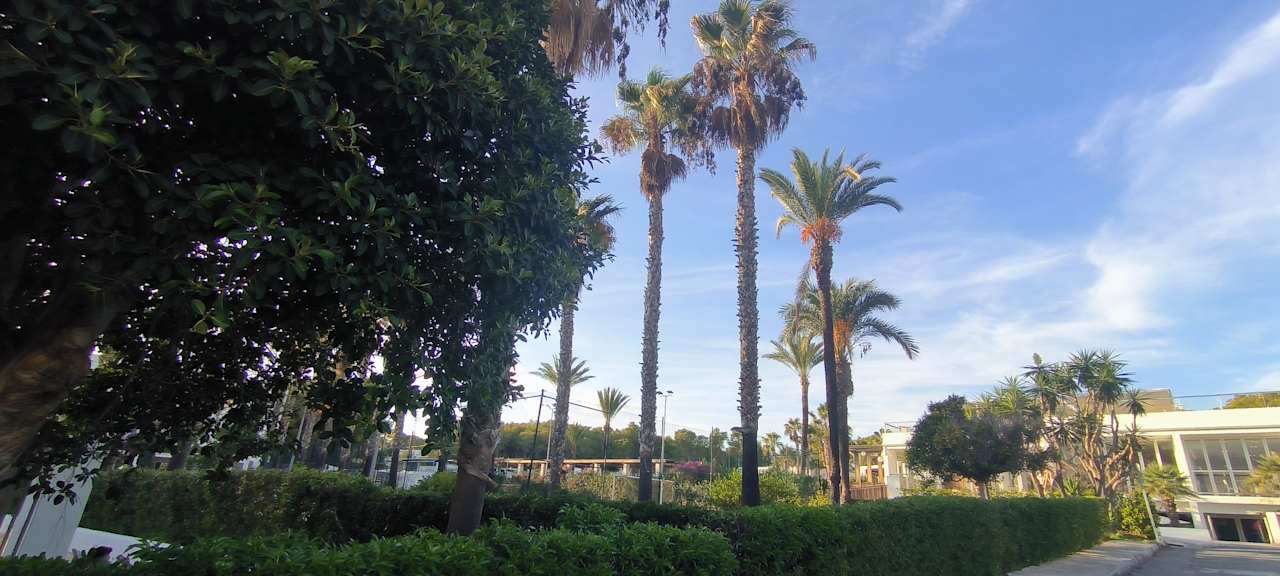 Gartenanlage Cala Llenya Resort Ibiza