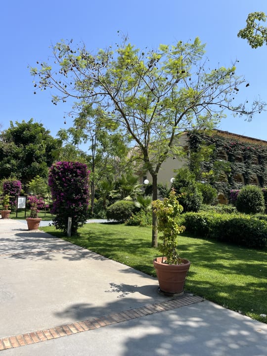 Gartenanlage TUI MAGIC LIFE Calabria