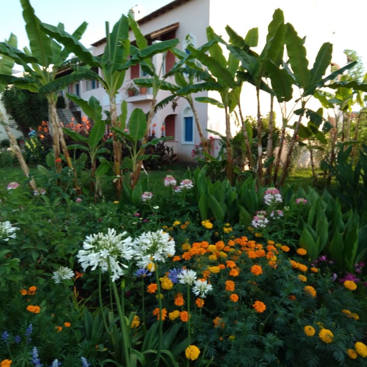 Gartenanlage St. George's Bay Country Club