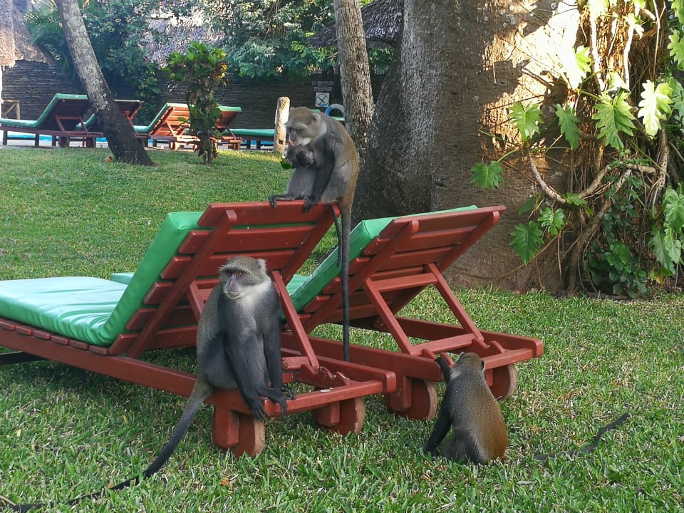 Gartenanlage Neptune Paradise Beach Resort & Spa