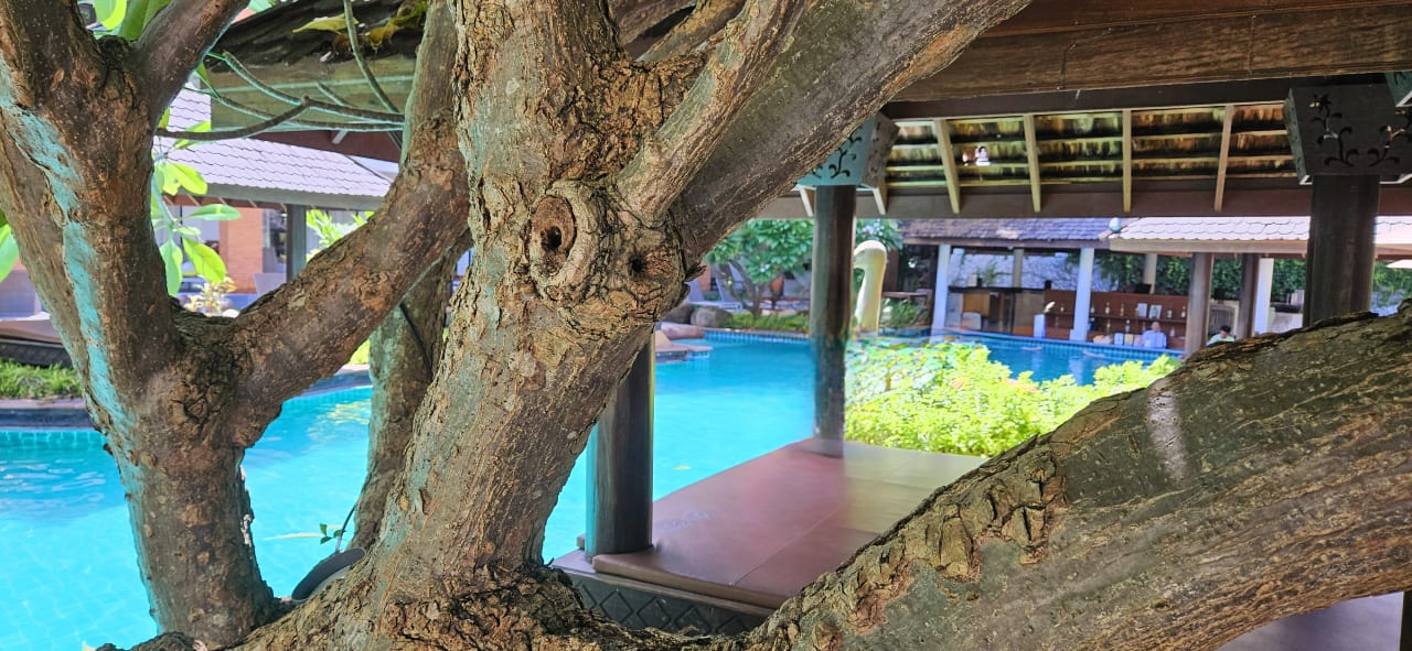 Pool Woodlands Hotel & Resort