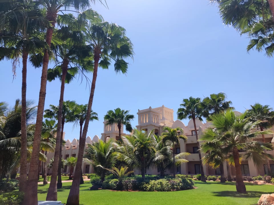 Gartenanlage Hotel Riu Touareg Curral Velho Holidaycheck