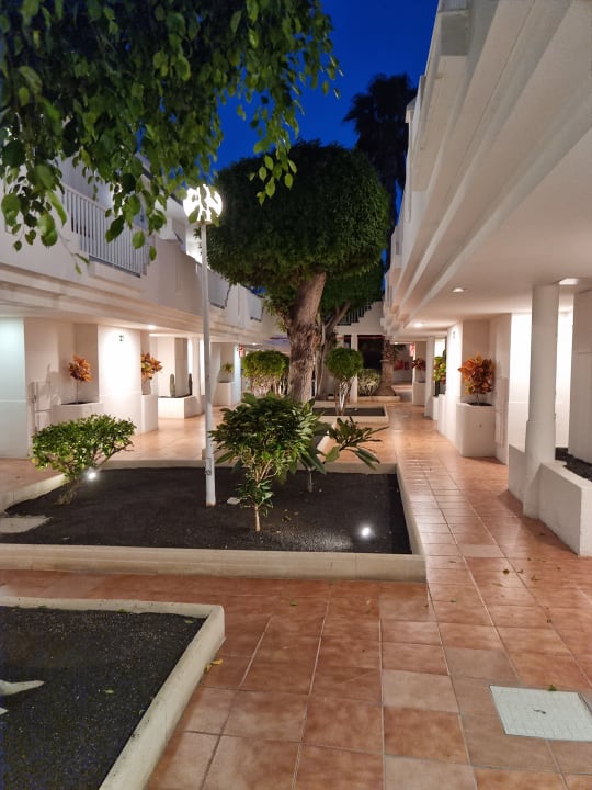 Gartenanlage H10 Ocean Suites