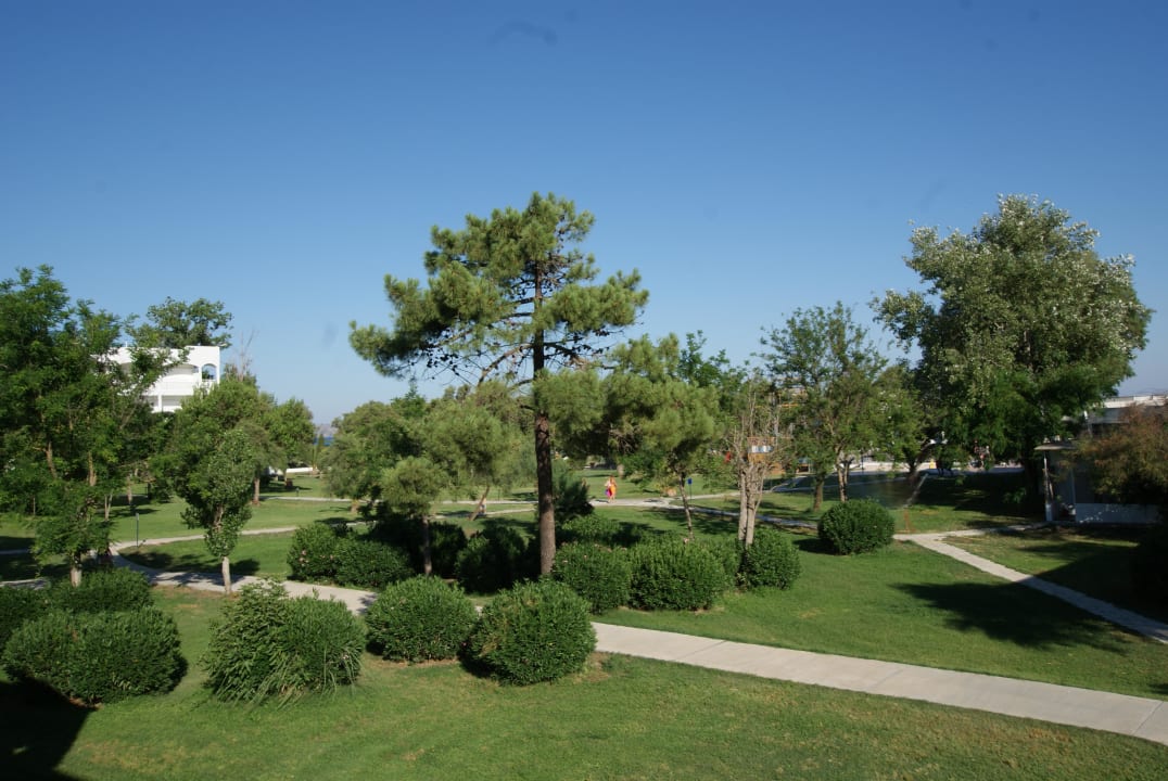 Z tarasu Domes Aulūs Zante, Autograph Collection